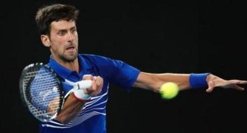 应以高度的 应以高度的