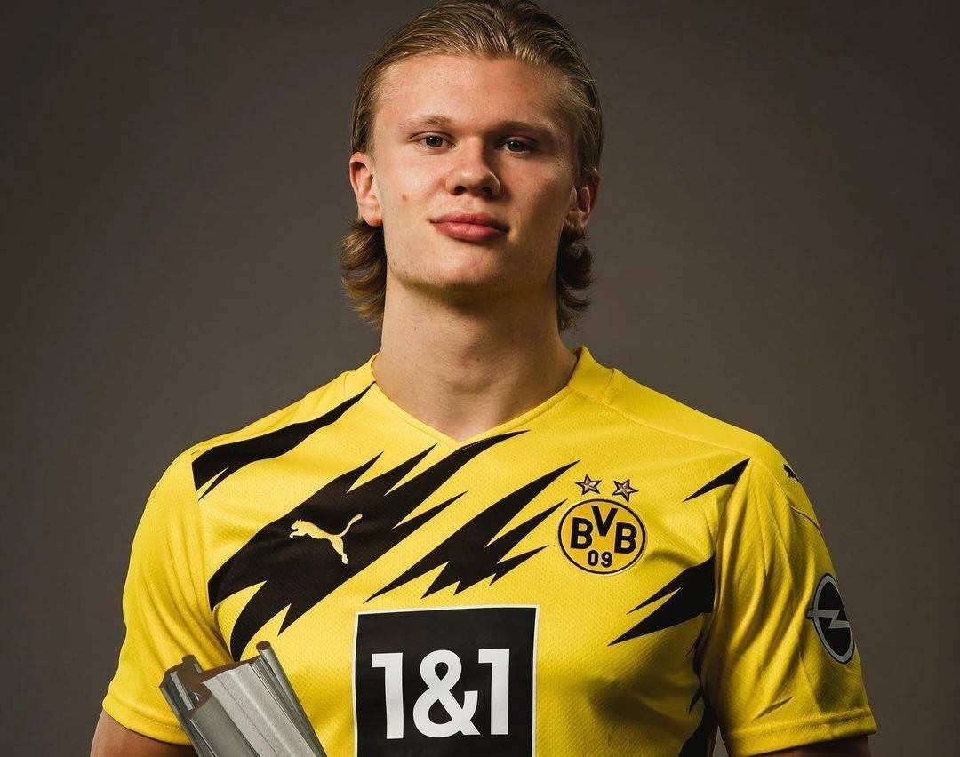 版本理解能 版本理解能