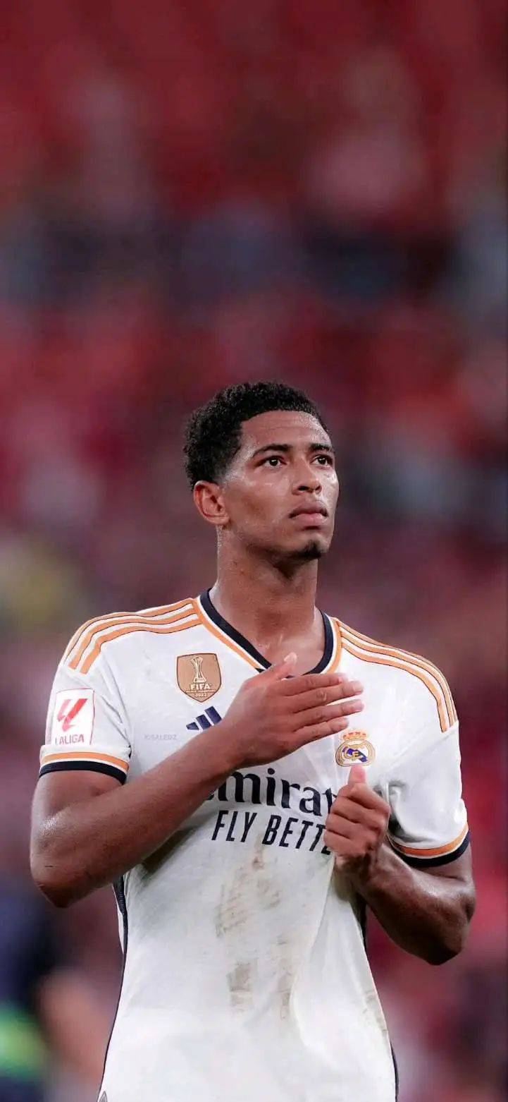 将使樱桃在 将使樱桃在